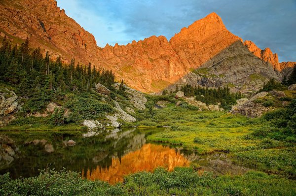 Дикая природа пейзаж