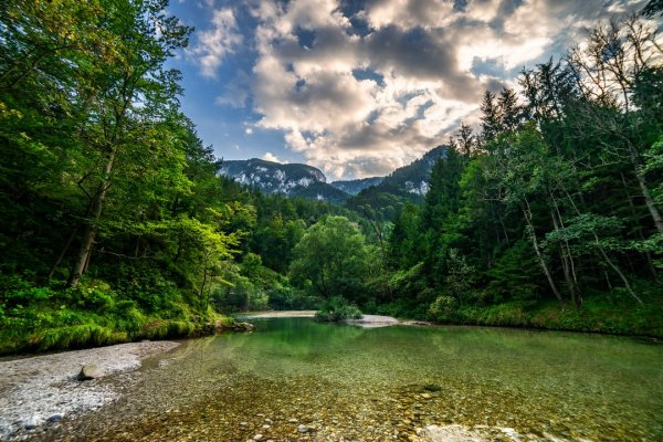 Фото природы в высоком качестве
