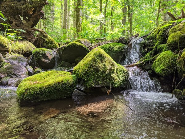 Красота природы