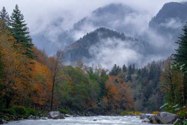 Фотографии впечатляющих пейзажей дикой природы