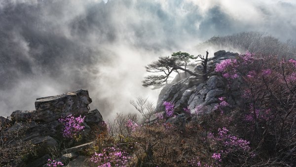 Южная Корея природа