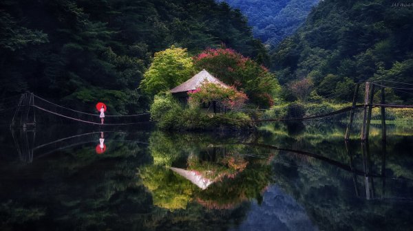 Фотографа Jaewoon u