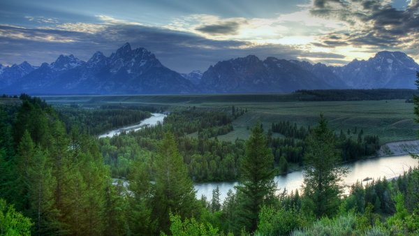 Вайоминг штат лес