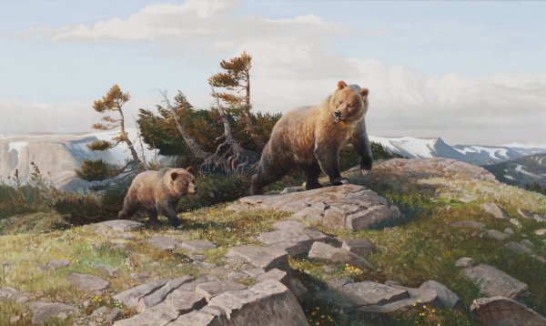 Картина медведь