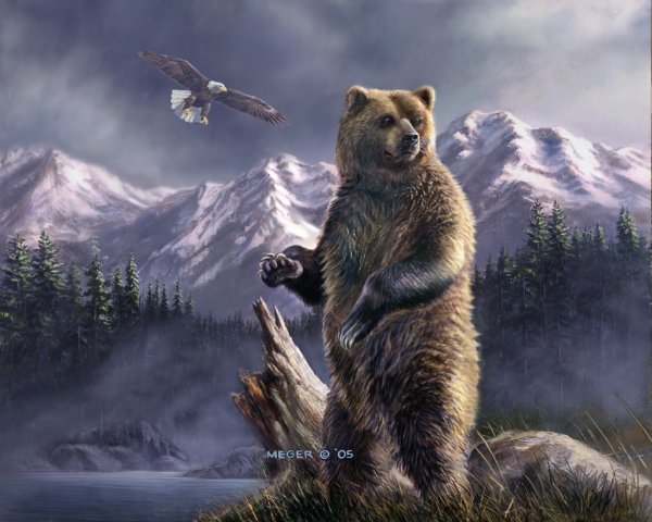 Горы лес медведь