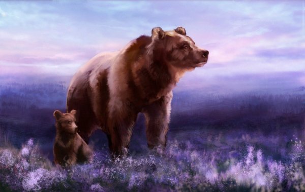 Медведица Сказочная