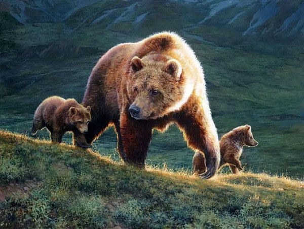 Художник Бонни Маррис