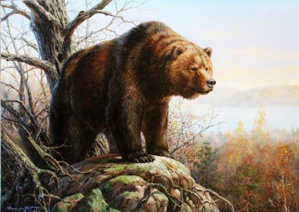 Картина хозяин тайги Татьяна Данчурова