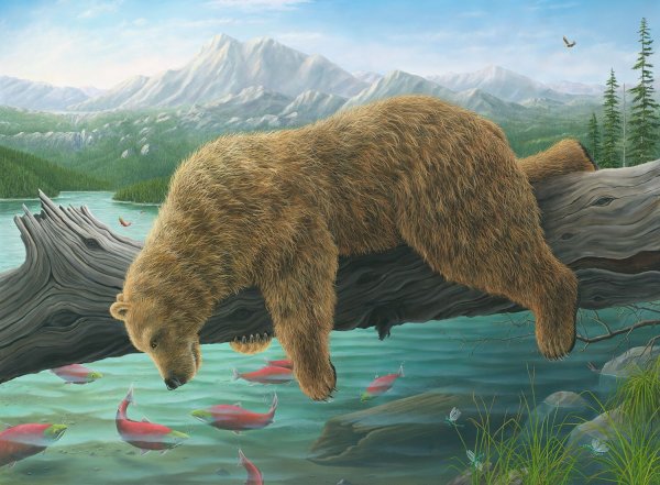 Роберт Бисселл медведь