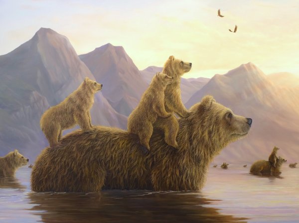 Robert Bissell Роберт Бисселл белые медведи