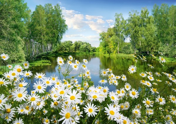 Озеро Текапо в новой Зеландии