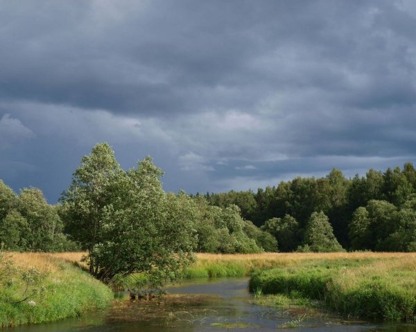 Удмуртия средняя полоса России