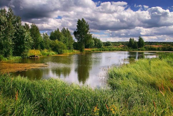 Среднерусский пейзаж