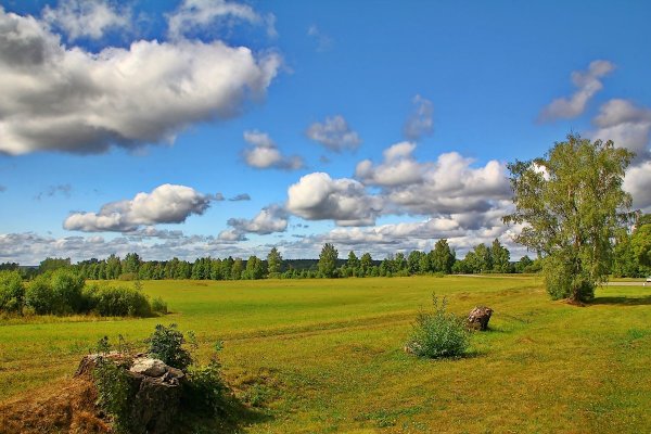 Летние пейзажи России