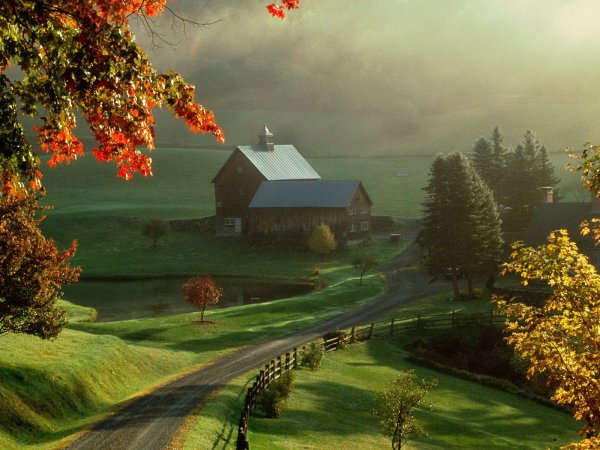 Природа деревня