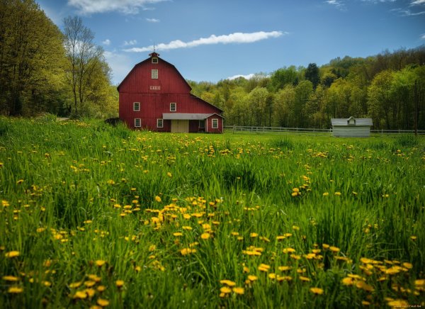 Виктор Цыганов весенний пейзаж