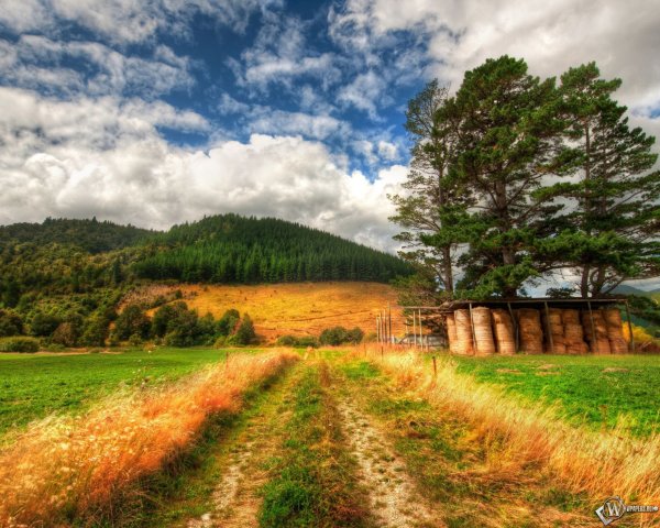 Ранняя осень