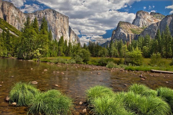 Фото природы