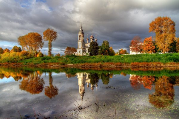 Природа лес