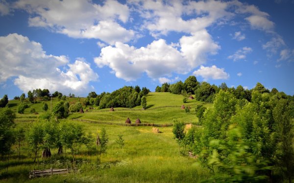 Природа Березовая роща Полянка речка