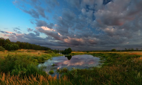 Поле с речкой
