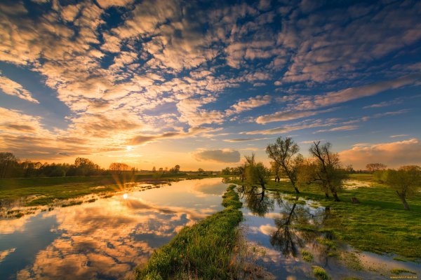 Река в поле