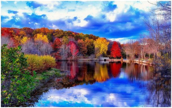 Яркие краски осени