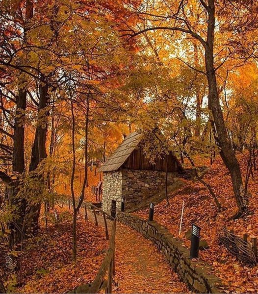 Шикарная осень