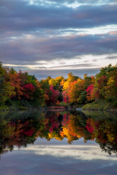 Красота осени