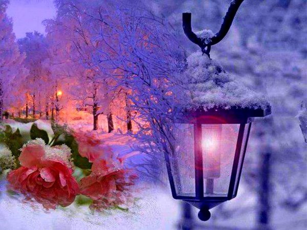 Виштынецкое озеро зимой