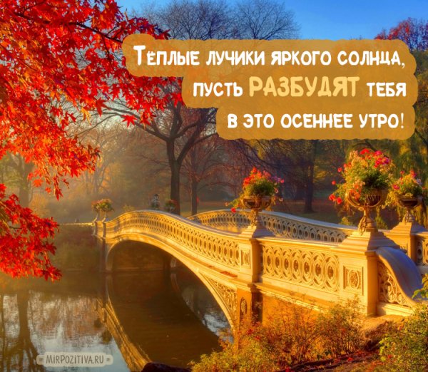 Пожелания с добрым утром осенние пейзажи