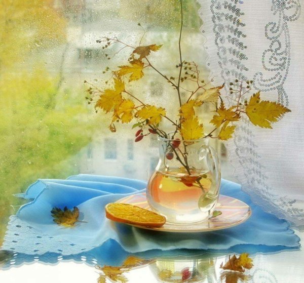 С добрым осенним дождливым утром