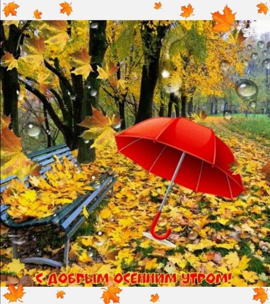 С добрым осенним утром среды
