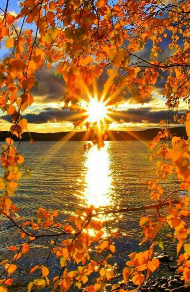 Эдуард Гордеев осень в Царском селе.