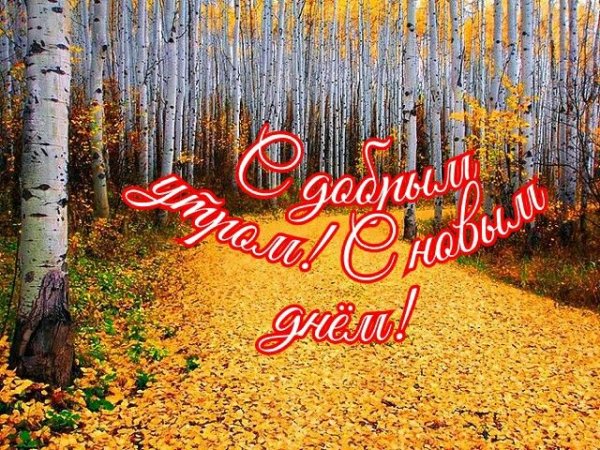 Доброго осеннего дня