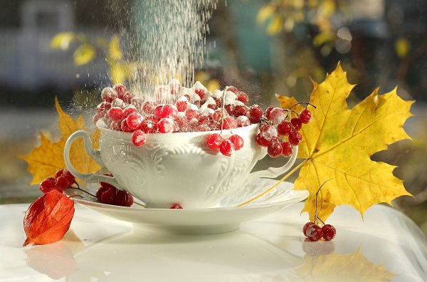 Доброе осеннее утро