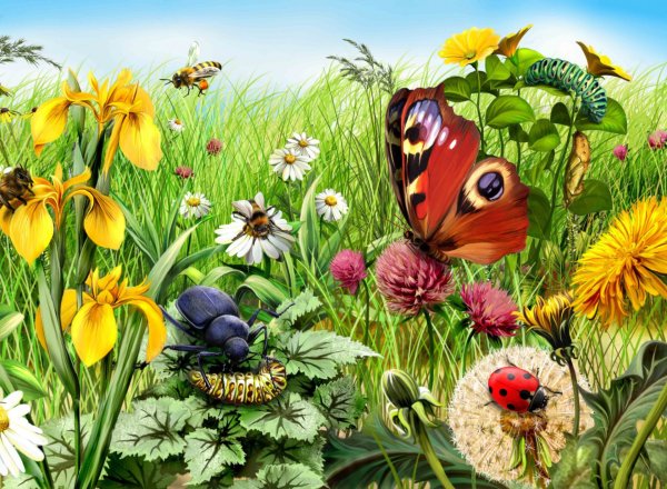 Риджентс-парк птицы