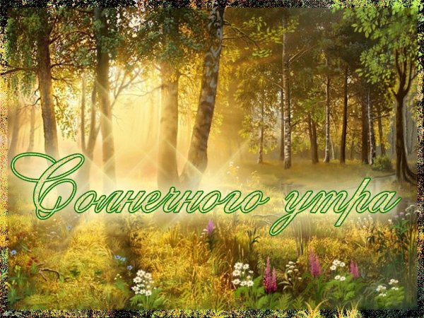 Доброе утро красивая природа с пожеланием