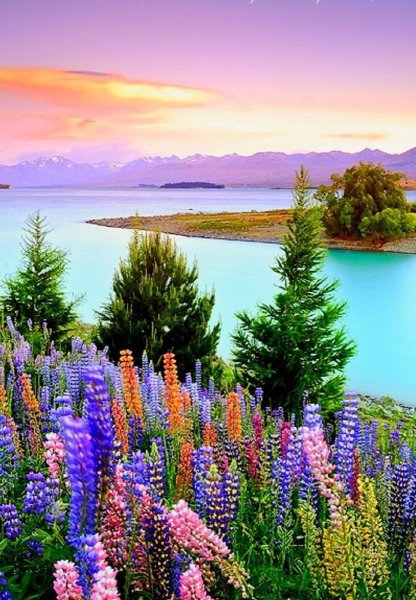 Штат Вашингтон природа горы