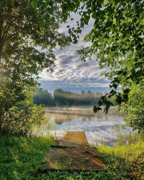 Красивая природа