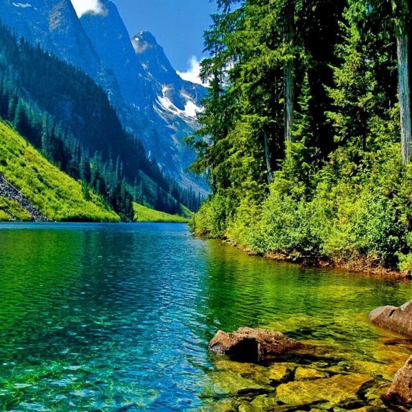 Красота природы