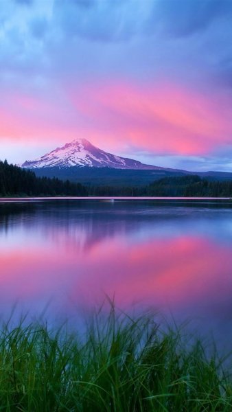 Красота окружающего мира