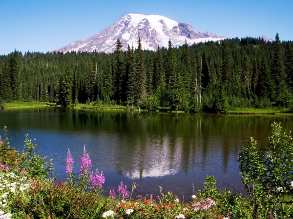 Национальный парк Маунт-Рейнир США