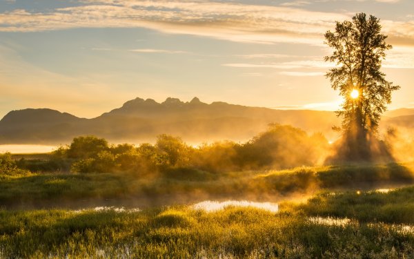 Утро природа