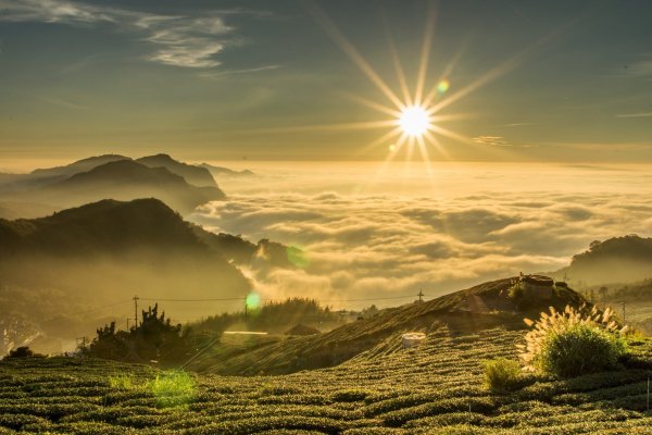 Яркий пейзаж