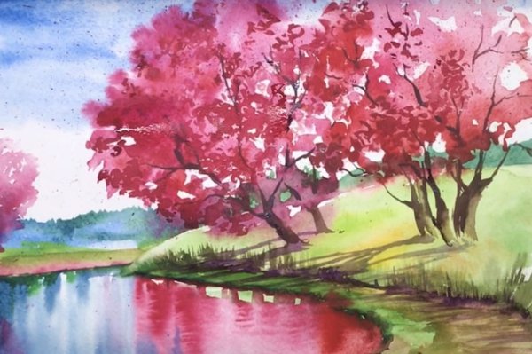 Рисунки природы