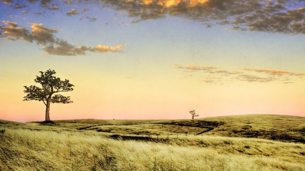 Светлый пейзаж