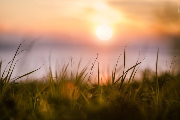 Нежный закат