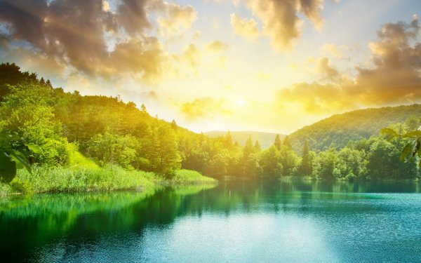 Солнечный пейзаж