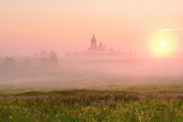 Нежный рассвет